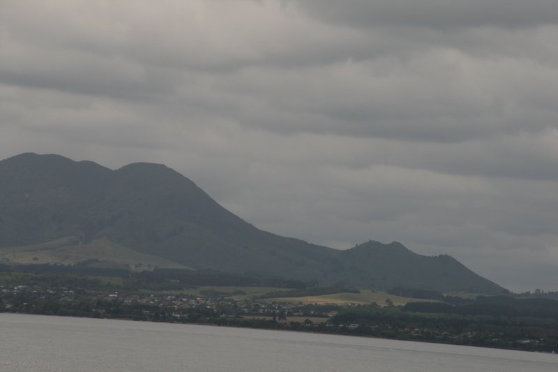nz2399.jpg