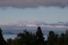 nz2426_small.jpg