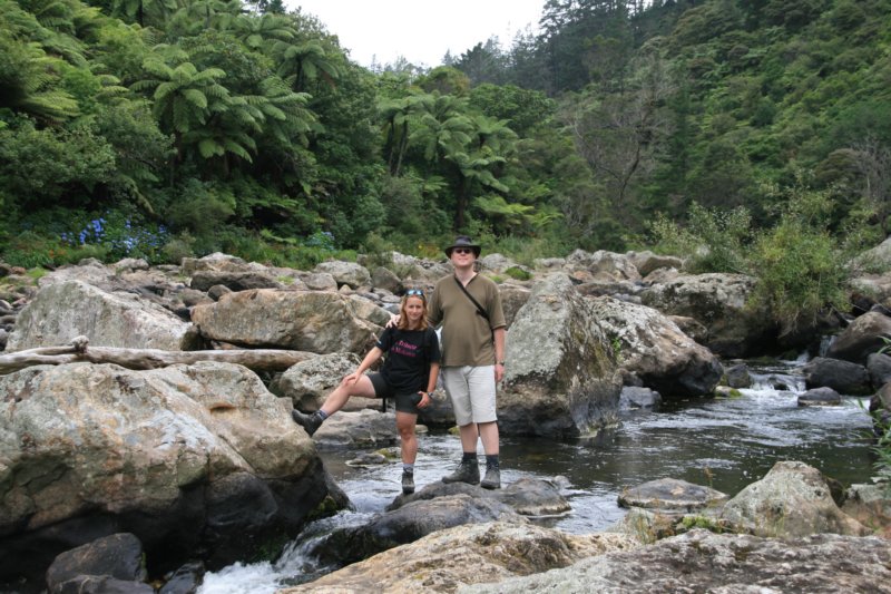 nz2436.jpg