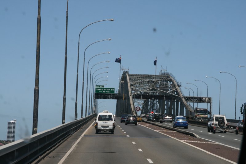 nz2445.jpg