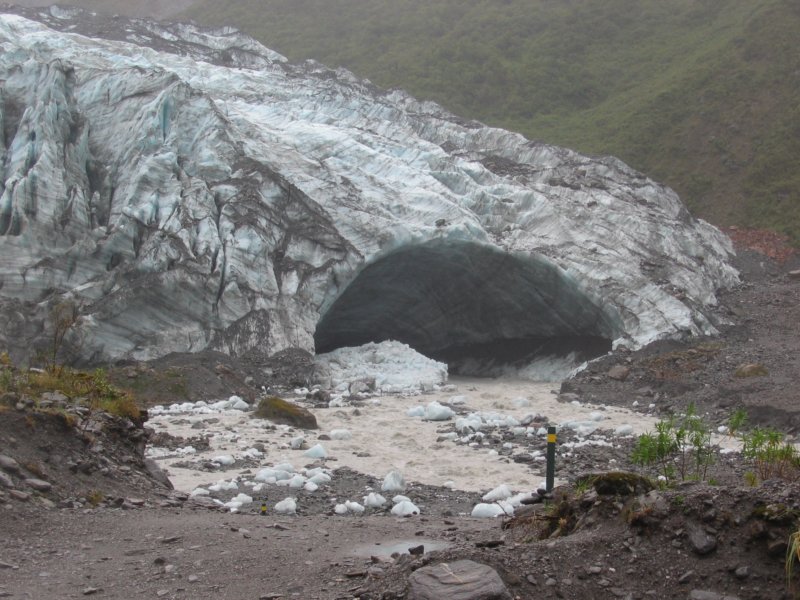 nz2453.jpg