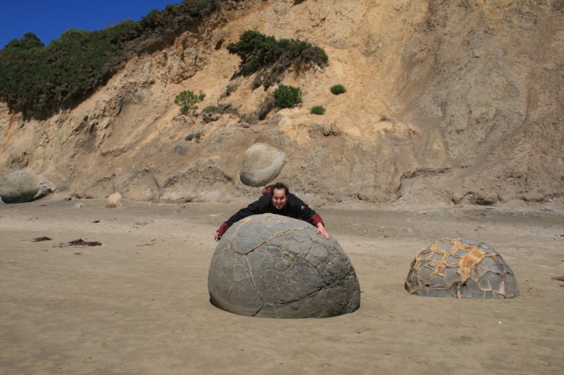 nz254.jpg