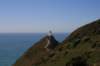 nz289_small.jpg