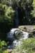nz315_small.jpg