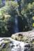 nz318_small.jpg