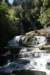 nz325_small.jpg