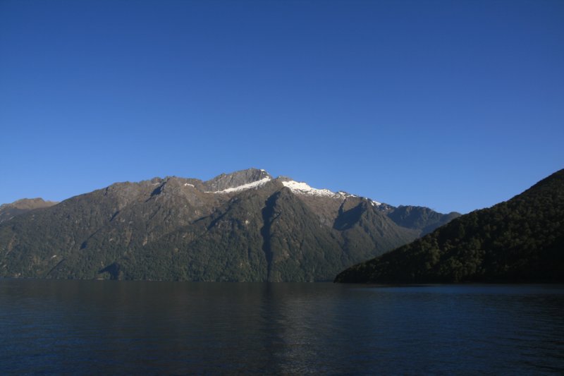 nz332.jpg