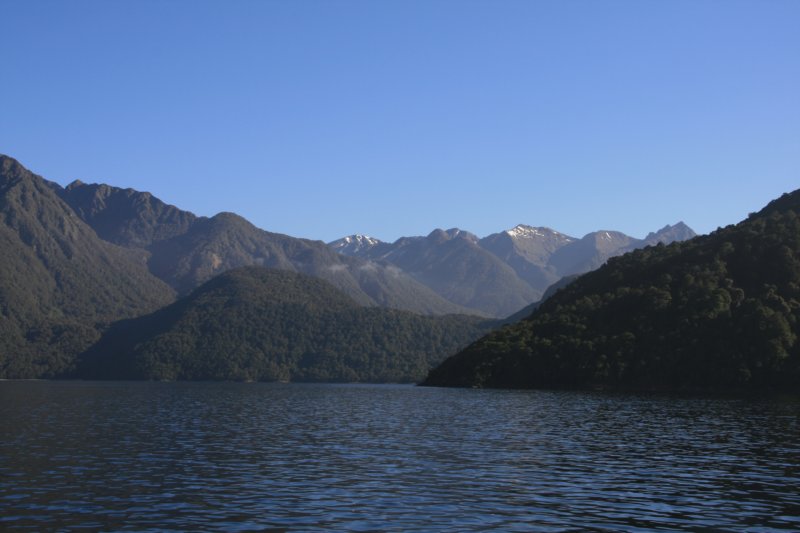 nz336.jpg