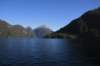 nz339_small.jpg