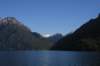 nz341_small.jpg