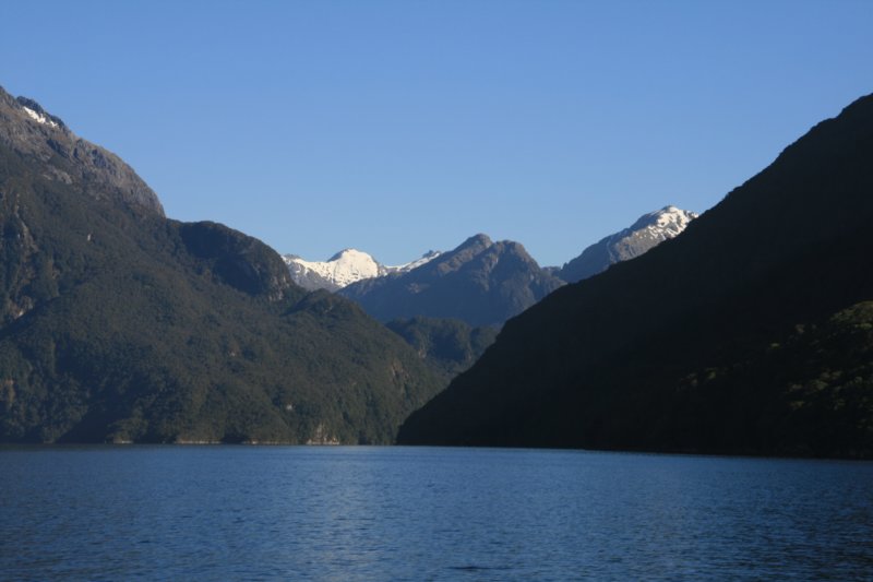 nz342.jpg