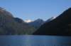 nz342_small.jpg