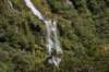 nz361_small.jpg