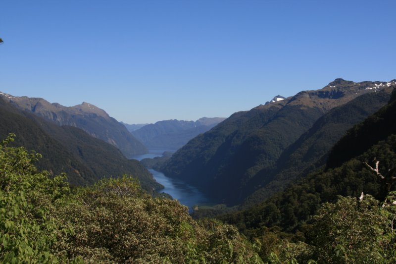 nz369.jpg