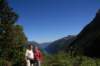 nz371_small.jpg