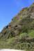 nz377_small.jpg