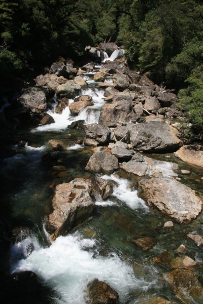 nz379.jpg