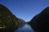 nz385_small.jpg