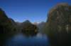 nz390_small.jpg