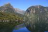 nz393_small.jpg