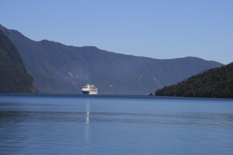 nz411.jpg