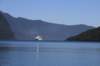 nz411_small.jpg