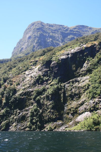 nz435.jpg