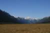 nz452_small.jpg