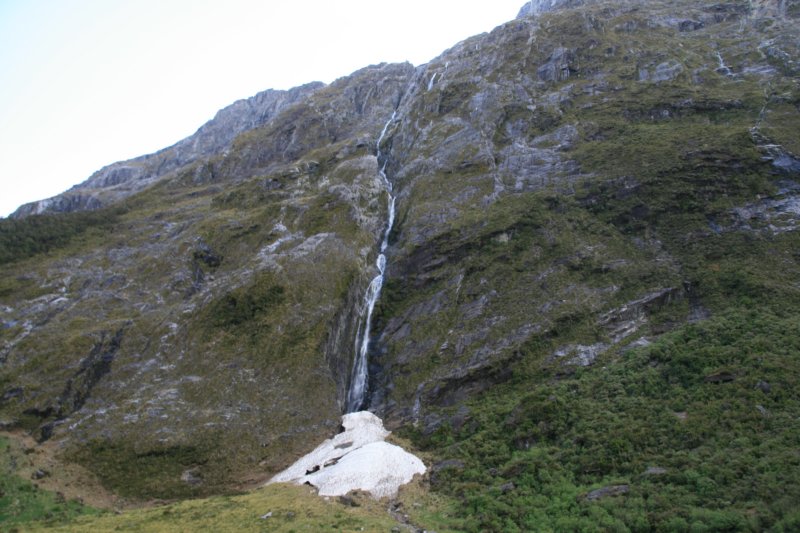 nz455.jpg