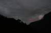 nz466_small.jpg
