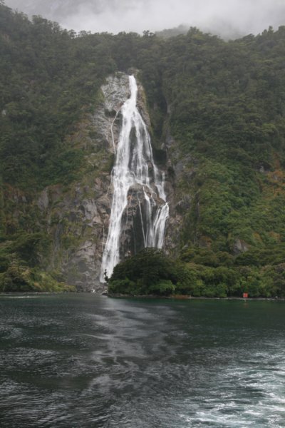 nz474.jpg