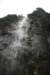 nz483_small.jpg