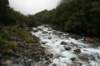 nz494_small.jpg