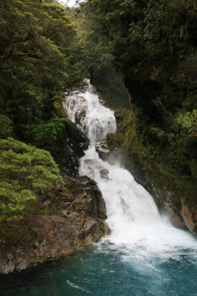 nz496.jpg