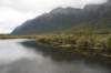 nz504_small.jpg