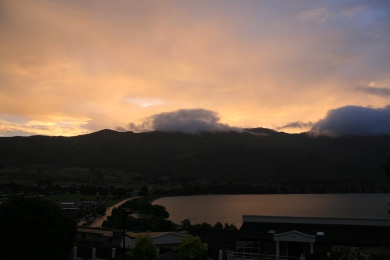 nz549.jpg