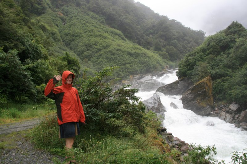 nz555.jpg