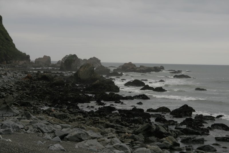 nz569.jpg