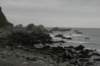 nz569_small.jpg