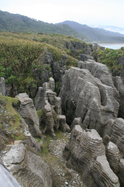 nz585.jpg