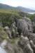 nz585_small.jpg