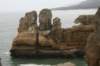 nz595_small.jpg
