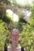 nz684_small.jpg