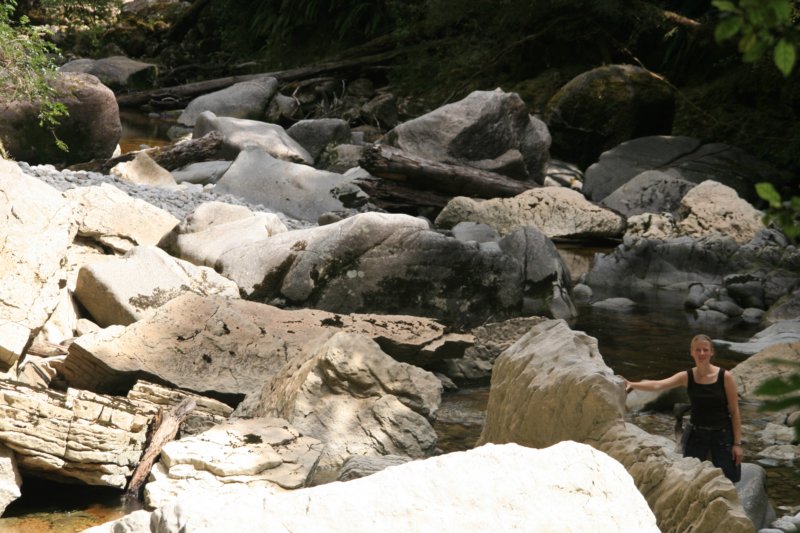 nz695.jpg
