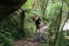 nz698_small.jpg
