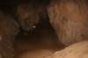 nz714_small.jpg