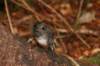 nz724_small.jpg