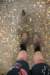 nz726_small.jpg
