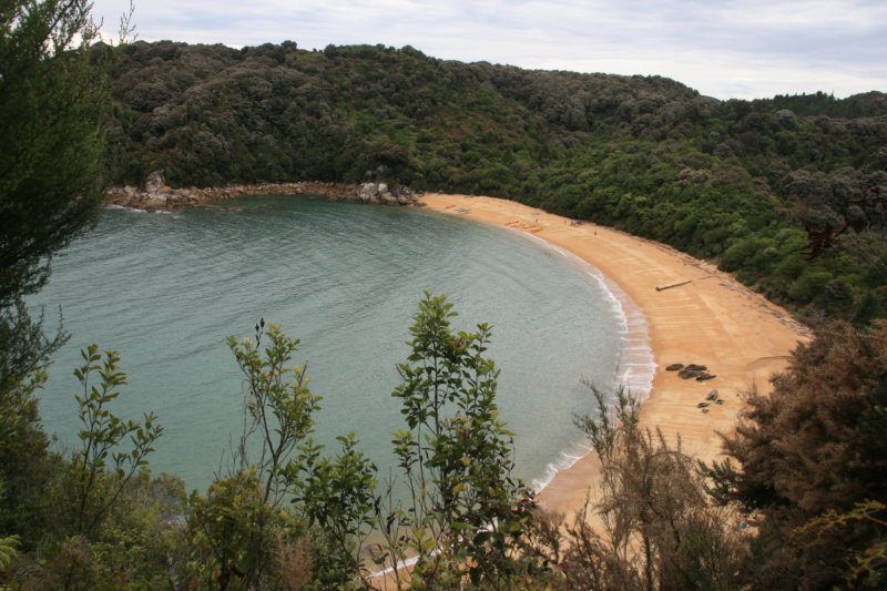 nz795.jpg