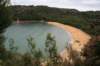 nz795_small.jpg